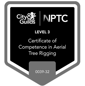 Level 3 Qualified Aerial Tree Tigging