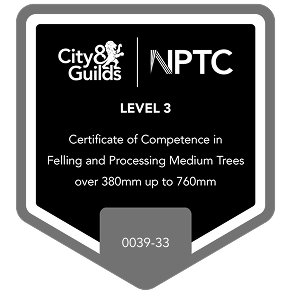 Level 3 Qualified Aerial Tree Tigging