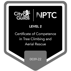 Level 3 Qualified Aerial Tree Tigging